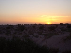 Sunset on Sahara